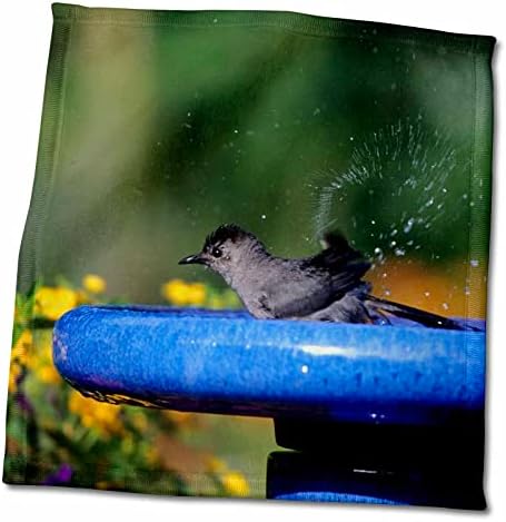 Banho de pássaro cinza 3drose cinza em banho de pássaro perto do jardim de flores, Illinois - toalhas
