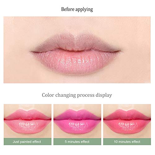 Maquiagem conjunto para mulheres iniciantes mudanças longas hidratantes temperaturas à prova d'água During Aloin Descoloration Lip Lipsk Gloss Packs para adolescentes