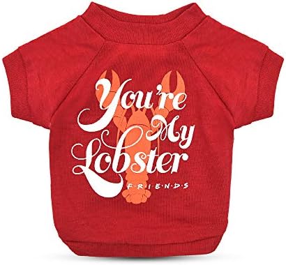 Amigos, o programa de TV You Youve My Lobster Dog camiseta em vermelho | Camisa de cachorro macio, camiseta de cachorro lavável para máquina, peso leve e semi-estrech | Tamanho X-grande para todos os cães grandes