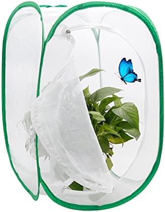 Dobrável gaiola de insetos à prova de insetos Monarch Butterfly Habitat Inseto e Butterfly Habitat Cage Terrarium pop-up