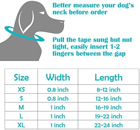 Colar de cachorro personalizado com colarinho gravada com texto com texto personalizado para cães pequenos médios