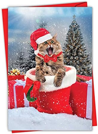 A Melhor Companhia de Cartas - Cartão de Feliz Natal com Envelope - CATS ANTICS C3195FXSG