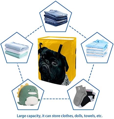 Engraçado Pug preto preguiçoso pet estampa de animais de estimação cesto de lavanderia, cestas de lavanderia à prova d'água 60l