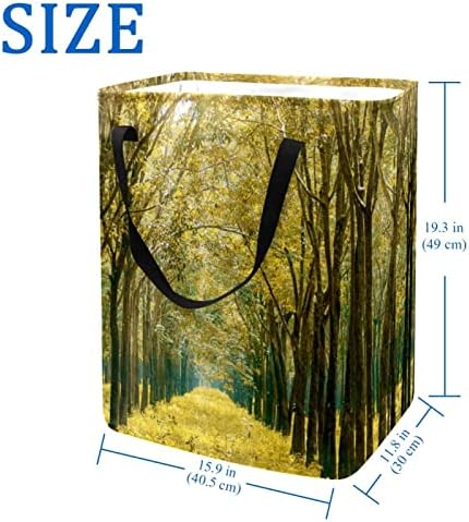 Árvore da floresta panorâmica Autumn Print Lavanderia dobrável cesto de roupa, cestas de lavanderia à prova d'água 60L Lavagem