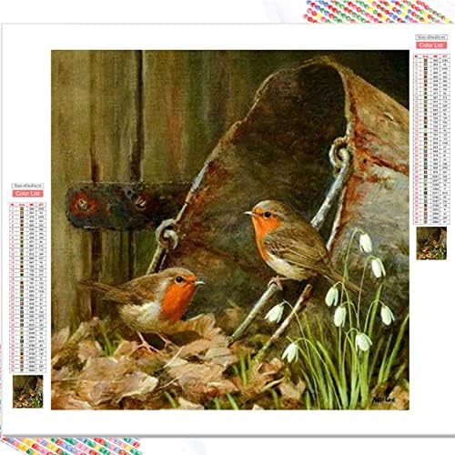 Kits de pintura de diamante 5D de Instarry DIY para adultos Mosaico de pássaros de tamanho grande Kit de Arte de Bordado de Mosaico de Pássaro 15,7x15,7 polegadas