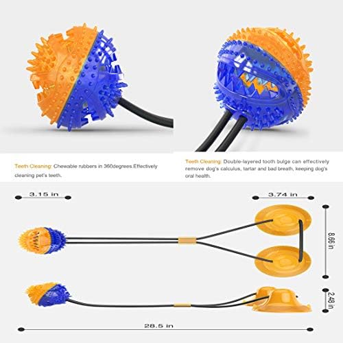 Hizq Pet Molar Mord Bork, xícara de sucção dupla Chew de borracha de filhote de treinamento de filhote para limpeza de dentes, pode remover efetivamente a sujeira oral e manter a higiene e a saúde