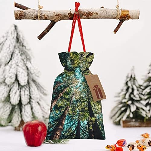 Sacos de presentes de Natal de cordão Felton-States Presents Sacos de embrulho Sacos de embrulho de presente de natal