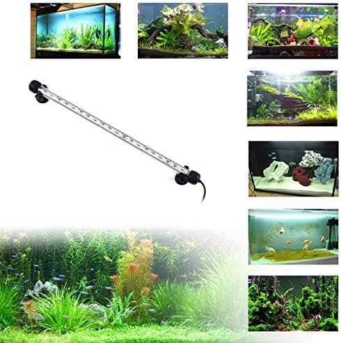 S Suramente LED Aquário Luz, luzes de peixe Luzes subaquáticas Vidro de cristal LED LED LED