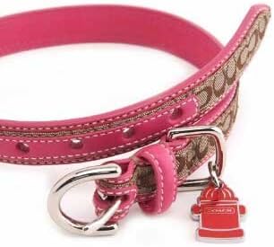 Collar de mini -assinatura do treinador com charme gravado 60178 Edição limitada - rosa, x -large