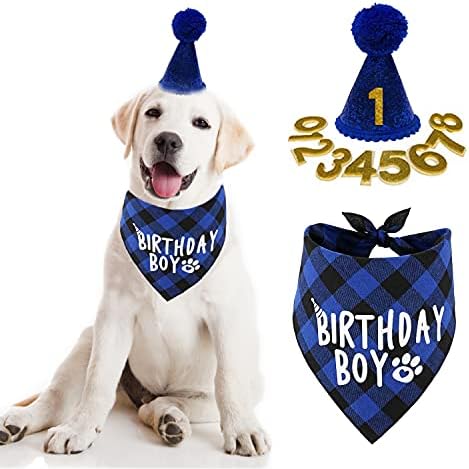 Festas de festa de aniversário de cachorro, cachecol de aniversário de menino, lenço de bandana e chapéu de aniversário de