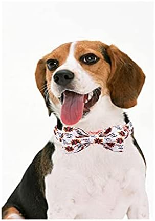 Dhtdvd Cola de cachorro de Ação de Graças com colar de cachorro de peru em gravata borboleta para um cão grande