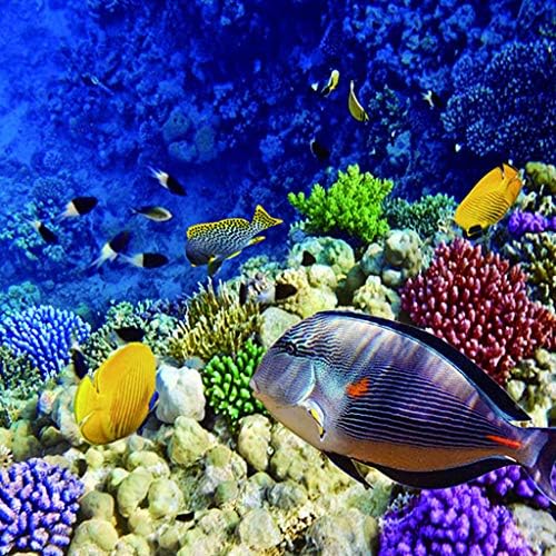 Acessórios para decoração de tanques de peixes, ornamento de aquário, estátua de habitat, 3D Sea World Fish Tank Antecedentes Adesivo