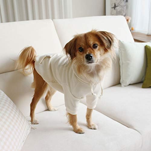 Blooming Pet Pet Capelie camisa pulôver, roupas de primavera para cachorro pequeno, mangas curtas de algodão moletom, moda