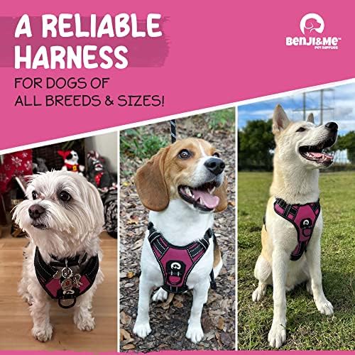 Benji & Me Dog Arnness - sem puxar o arnês de caminhada e treinamento com 2 clipes de coleira, costura reforçada - tiras reflexivas - ajustáveis, alça acolchoada macia, fácil de controlar, sem estrangulamento, rosa, xl