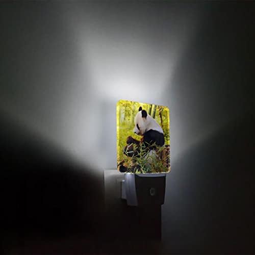 Luz noturna para crianças, preto e branco Panda Bamboo Nature Animal Led Night Light Plug na parede com sensores