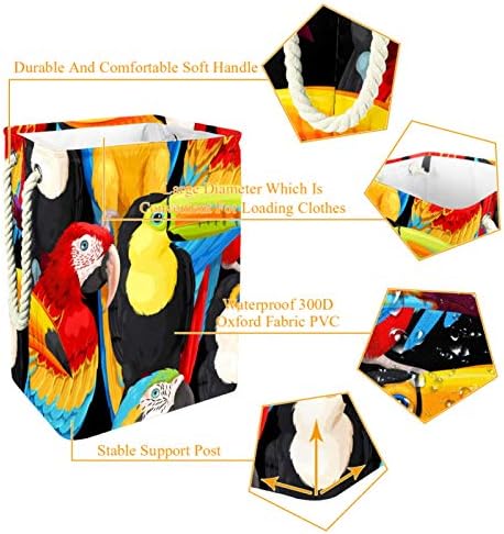 Ndkmehfoj MacAWs e toucans Lavanderia cestas de cestas de roupas sujas de roupas sujas de roupas d'água colorida colorida para suportes