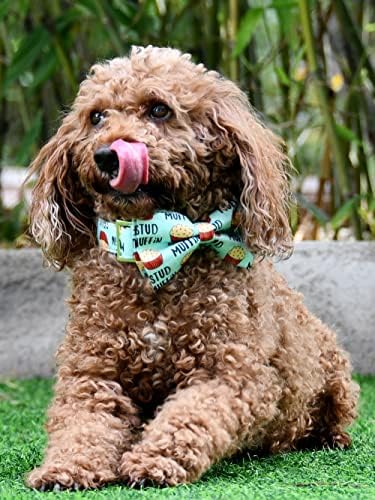 Jiujia Stud Muffin Dog tanque de gola de cachorro -taco de cachorro, destacável gravata borboleta, colarinho ajustável para cães pequenos