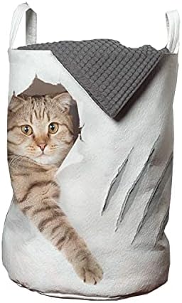 Bolsa de lavanderia de gatos de Ambesonne, Kitty arranhando com garras rasgando o fundo de fundo engraçado, cesto de cesto