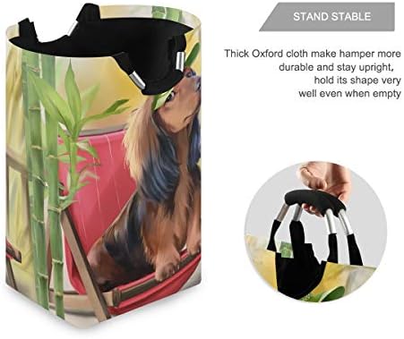 Yyzzh aquarela Dachshund Dog de bambu grande lavanderia bolsa de cesta de cesta de cesta de compras colapsível colhester