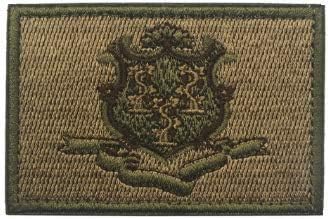 Connecticut USA Sinaliza estadual Bandeira tática Braço bordado Patches Badges Tactics Moral Bordado Military Patch &