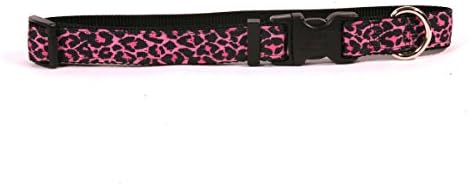 Projeto de cão amarelo Rosa de leopardo em colar de fita de gestão preta 3/4 de largura e se encaixa no pescoço 10 a