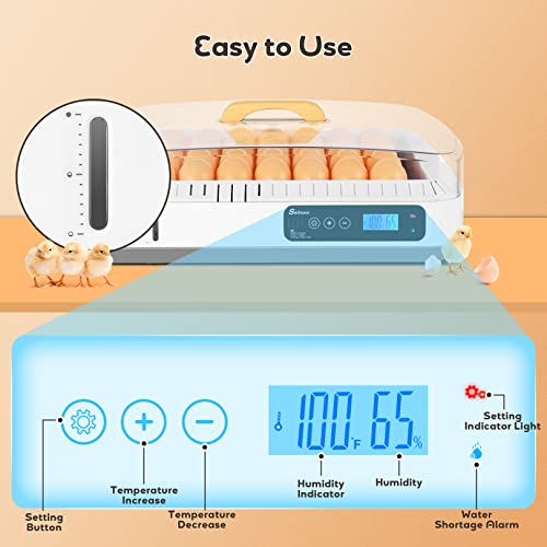 35-65 Incubadora de ovos com torneira de ovos automáticos, controle de temperatura, ventilador e exibição de umidade -