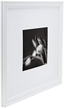 Studio Nova quadro de imagens exibe 8 x 10 fotos 16 x 20 sem tapete, branco