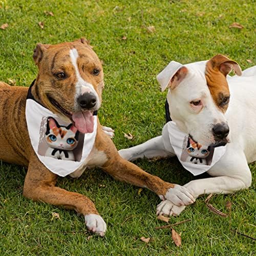 Cole Pet Pet Bandana Collar - Cola de cachecol fofo - Bandana temática de cachorro - L