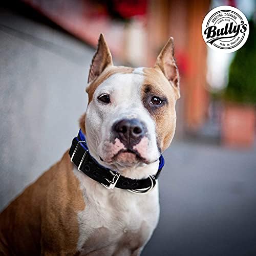 Pit Bull Collar, colarinho de cachorro para cães grandes, nylon pesado, hardware de aço inoxidável