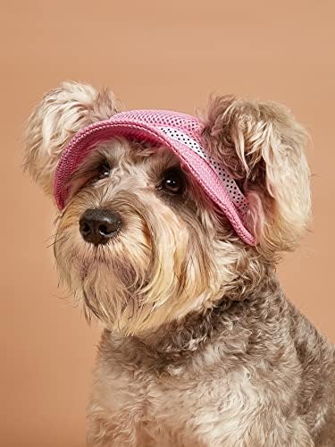 Qwinee cachorro chapéu de princesa com arco redonda de filhote de cachorro visor chapéus malha porosa tampa de animais