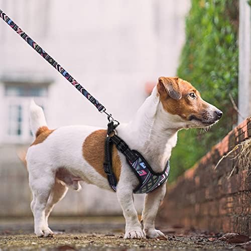 Uoeidosb moda moda nylon cão cão colete reflexivo sem puxar chicote de cachorro colar