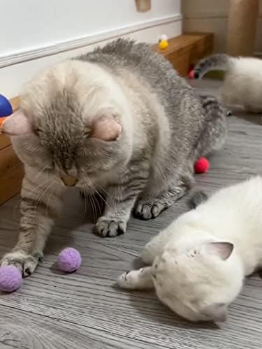 Brinquedos de gatos Diyuqishi, brinquedos de gatinho, brinquedos de gatos Catnip para gatos internos, brinquedos de gatos interativos,
