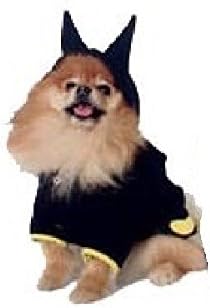 Fantasia de cachorro - fantasias de batdog bat Cape Crusader Dogs Black Amarelo