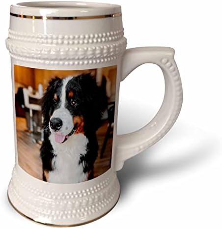 3drose Tory Anne Collections Dogs - Cute Bernese Mountain Dog - 22oz de caneca