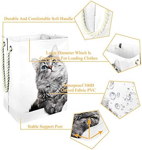 Animal gato cinza gatinho gatinho fofo grande bin de armazenamento cesto de roupa dobrável para cesto de berçário e quarto de crianças