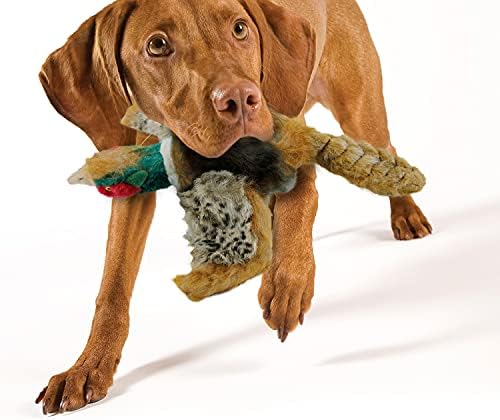 All for PAWS AFP Automatic Dog Ball Launcher com faisão Squeaky Toy
