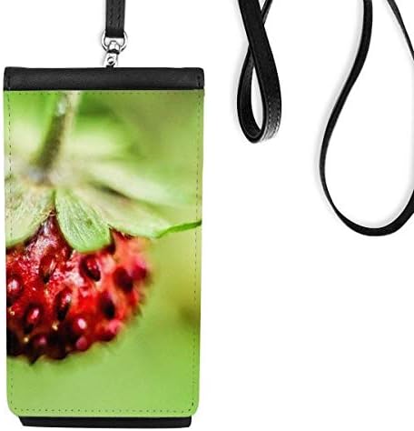 Berry fresca Fotografia Fotografia Pão bolsa de carteira pendurada bolsa móvel bolso preto