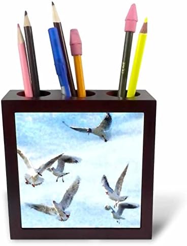 3drose taiche - aquarela - gaivotas - gaivotas em aquarela de vôo - portadores de caneta de telha