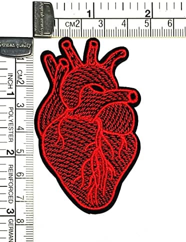 Kleenplus 3pcs. Coração anatômico de raio-x vermelho coloca o adesivo infantil de desenho animado artesão de papel