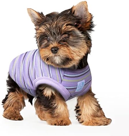 Szat Pro listrado camisetas de cães de estimação de chá, colete de tanque algodão para cães e gatos pequenos, roupas de cachorro sem mangas para chihuahua yorkie roxo, 3x-small