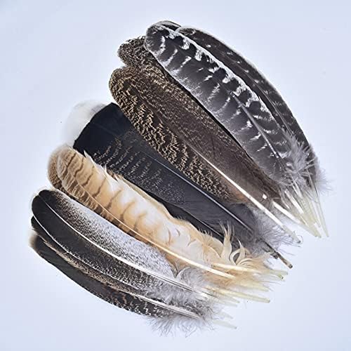 10pcs/lote de penas de águia natural reais para decoração de perus artesanato de carnaval acessórios de festa de penas decoração de penas diy plumas