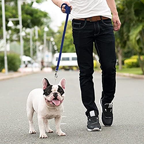 Downtown Pet Supply - Long Dog Leash - Treinamento de cães Leash - Recall e obediência Ferramentas de treinamento para cães - Nylon