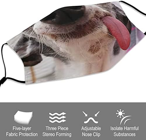 Máscara de filtro reutilizável ajustável de poeira de animais engraçados 3pcs