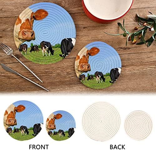 Xigua Cow Print Trivets Conjunto de 2 suportes de maconha de decoração de cozinha Conjunto de suportes de panela resistentes ao