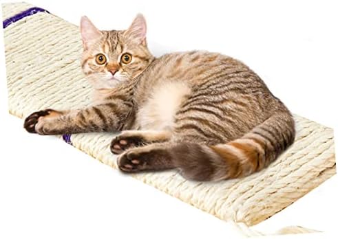 1PC Protection Lounge interessante reciclável Sleeping Sleeping Toys Pet Garras Board Pequeno Cats Proteção Jogo