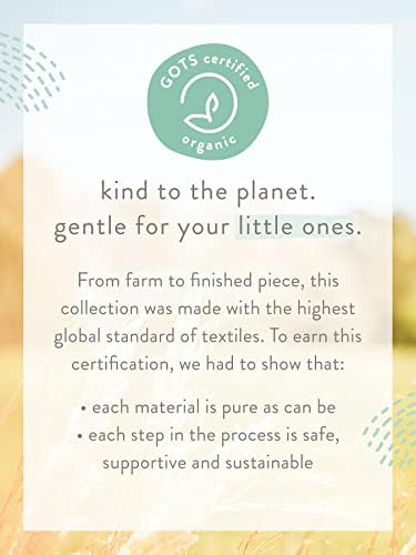 Little Planet by Carter's Baby 3-Pack Organic Rost Bodysuits