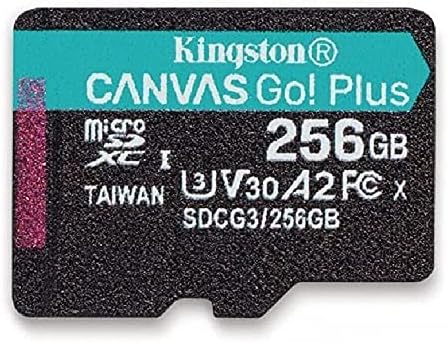O Canvas Kingston 256 GB Go Plus MicroSD Memory Card com o adaptador Funciona com o pacote GoPro Hero 10 Class 10, V30, A2, SDXC com tudo, exceto Stromboli Microsd, leitor de cartão