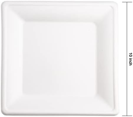 Hioasis 200pcs Placas de papel descartáveis ​​compostáveis, pratos de jantar de papel quadrado de 10 polegadas, pratos de papel