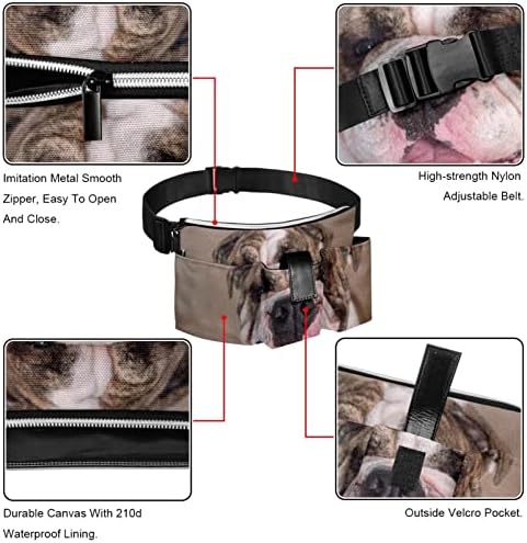 Bulldog inglês com cinto de corrida, cinto de exercícios para o dinheiro do dinheiro Passport Passport Bank Card, Mulheres e homens