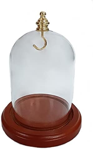 3 x 4 Pocket Watch Glass Display Dome Cloche com botão de ouro e gancho com base manchada de nozes